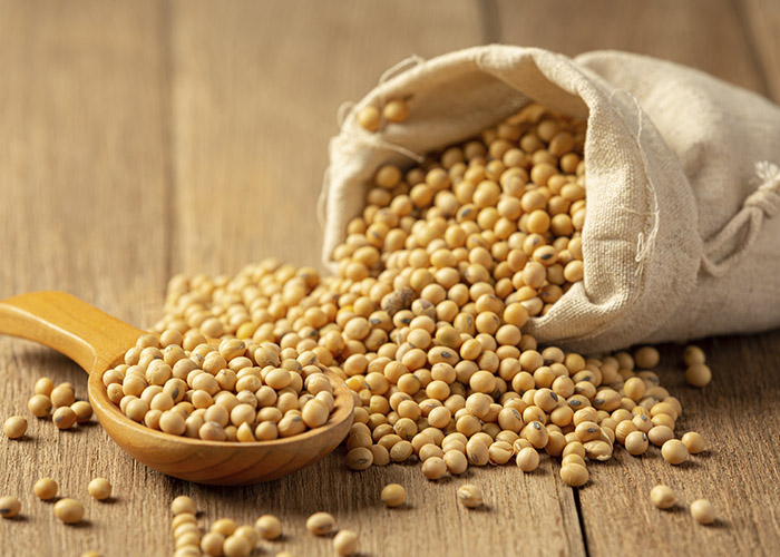 Exportação de soja do Brasil despenca em janeiro até 3ª semana do mês